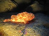 2009-09-10 16-13-10S